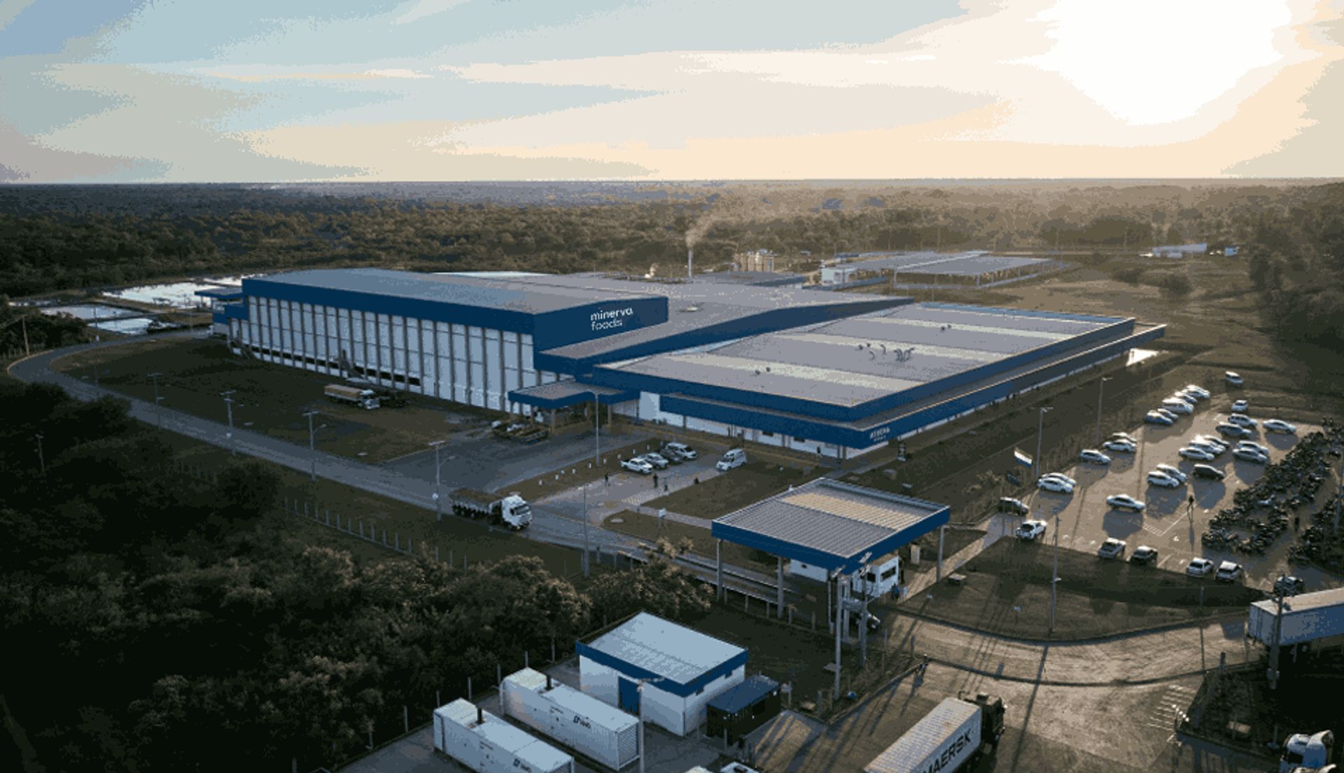 Estudo de caso: Minerva Foods e sua excelência em segurança e qualidade ...
