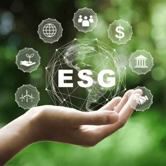 What is ESG and How Can it Help You Grow Your Business? What is ESG and How Can it Help You Grow Your Business?