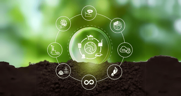 Weaving Trust and Transparency: Strategies for a Resilient Supply Chain from Leaders in the Textile & Apparel Industry