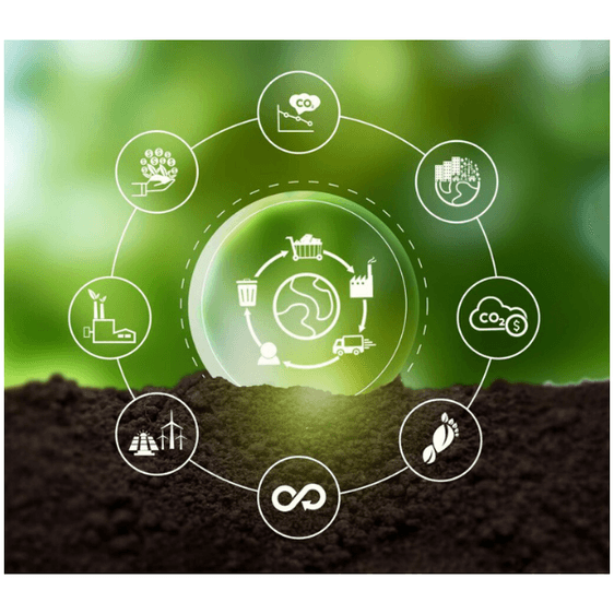 Weaving Trust and Transparency: Strategies for a Resilient Supply Chain from Leaders in the Textile & Apparel Industry Weaving Trust and Transparency: Strategies for a Resilient Supply Chain from Leaders in the Textile & Apparel Industry