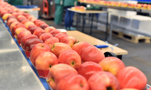 Certificação orgânica para processadores de alimentos