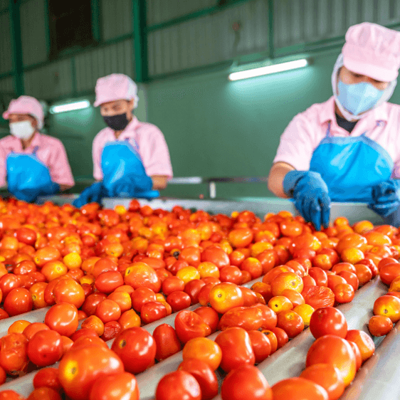 Desvendando a Auditoria Social: Práticas essenciais e preparação eficaz Desvendando a Auditoria Social: Práticas essenciais e preparação eficaz