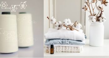 Tính Bền Vững Trong Chuỗi Cung Ứng: Thử Nghiệm Cotton DNA và rPET