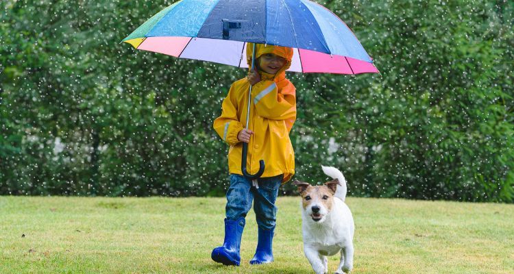 Xu Hướng Toàn Cầu, Quy Định và Giải Pháp Liên Quan Đến PFAS