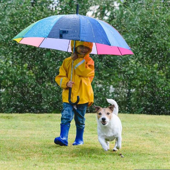 Xu Hướng Toàn Cầu, Quy Định và Giải Pháp Liên Quan Đến PFAS