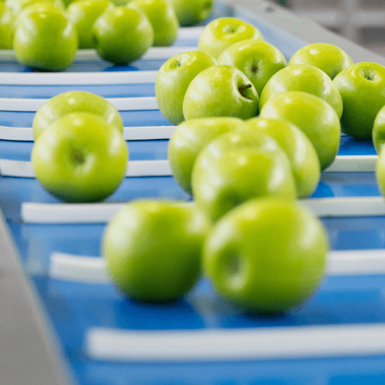 Entenda o SQF Fundamentos Entenda o SQF Fundamentos